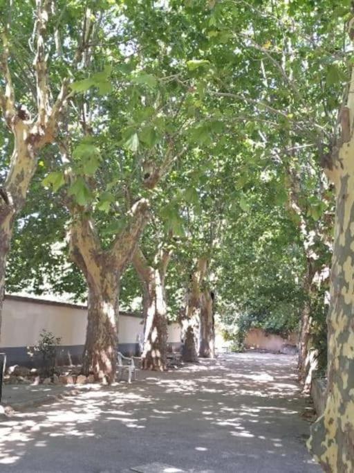 Toulon Est La Valette Studio 35M2 Dominant Parking Proche Mer Daire Dış mekan fotoğraf