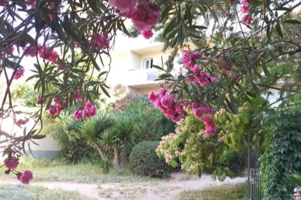 Toulon Est La Valette Studio 35M2 Dominant Parking Proche Mer Daire Dış mekan fotoğraf
